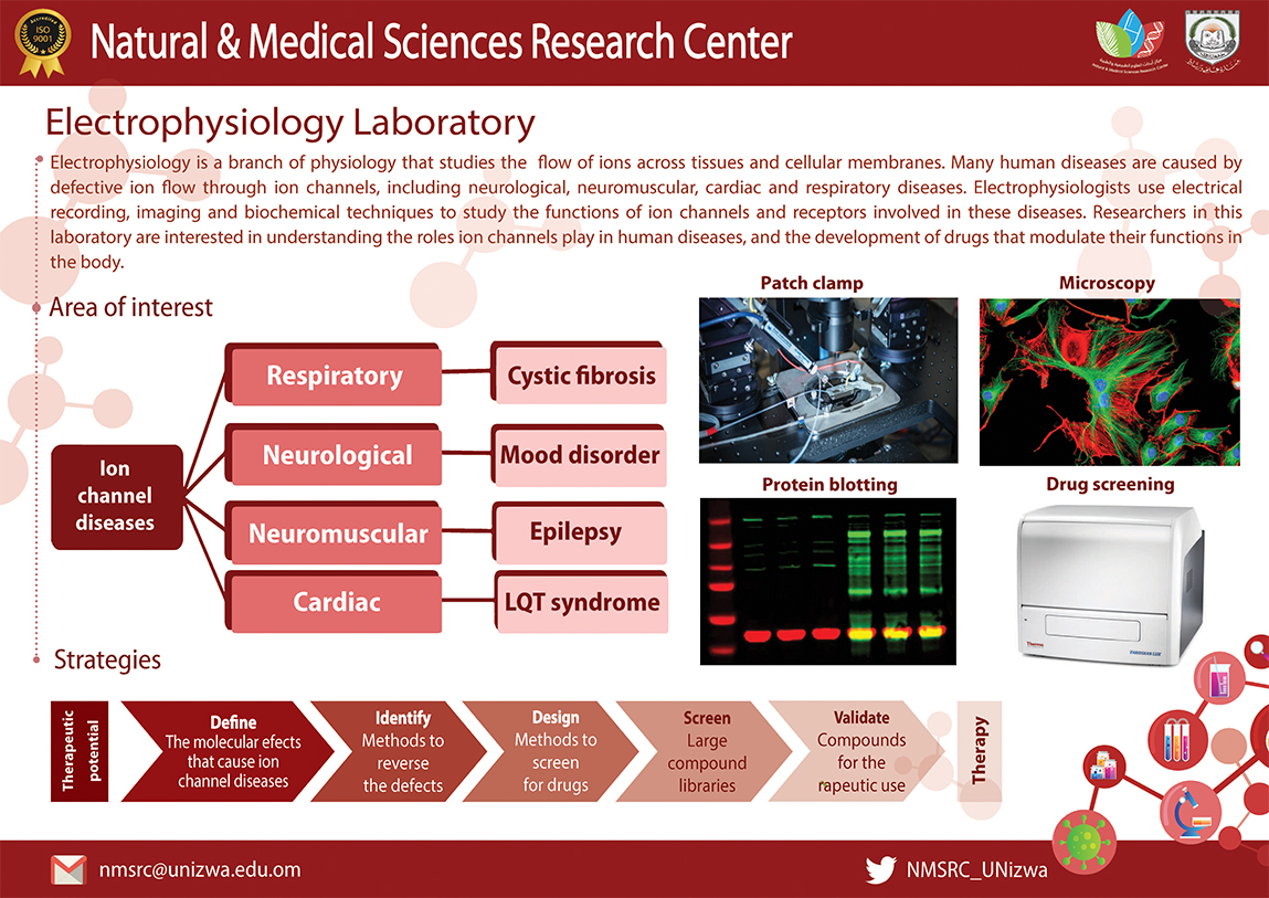 Electrophysiology Laboratory