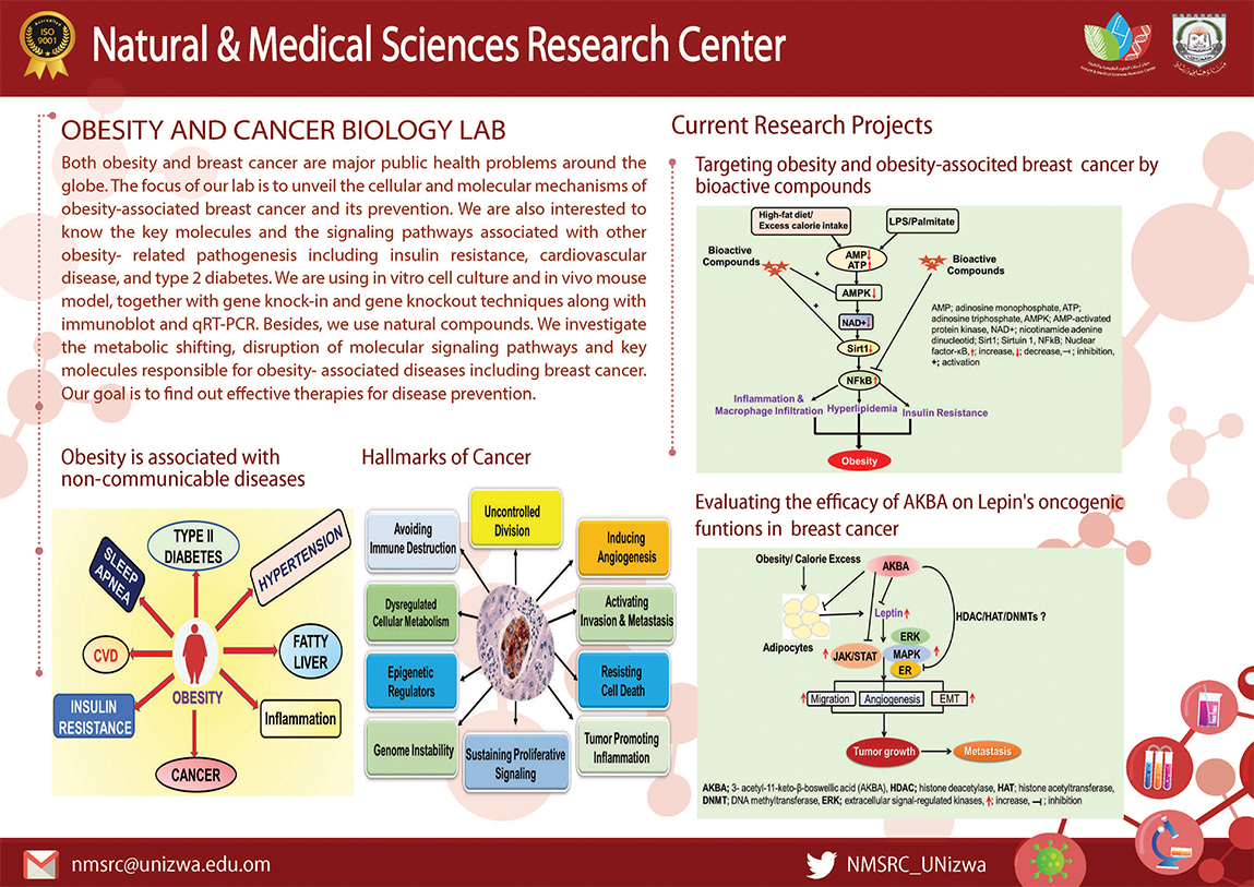 Obesity & Cancer Biology Laboratory